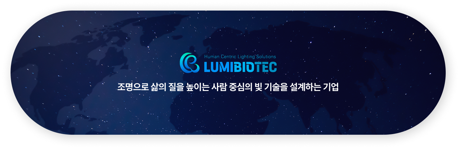 회사 소개 하단 시각적 요소