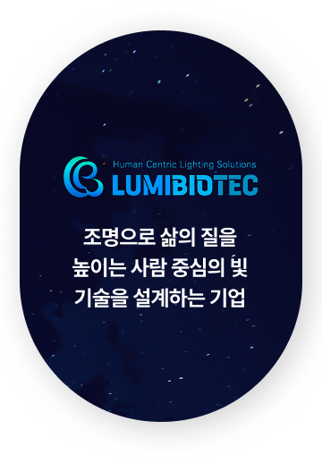 회사 소개 하단 시각적 요소